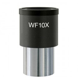 Okular mikroskopowy WF10x (23mm) z krzyżem