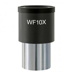 Okular mikroskopowy WF10x (23mm) z siatką pomiarową (400 kwadratów)
